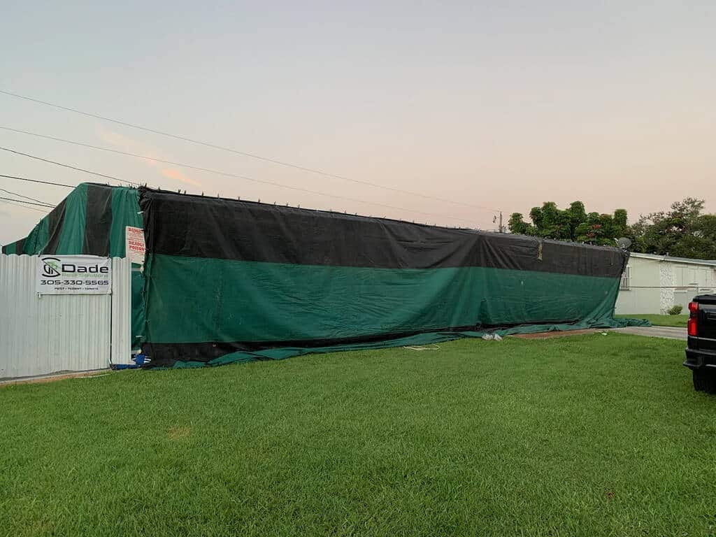 Termite Tent Fumigation
